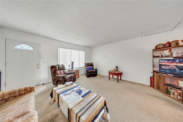 carpeted living area with a textured ceiling