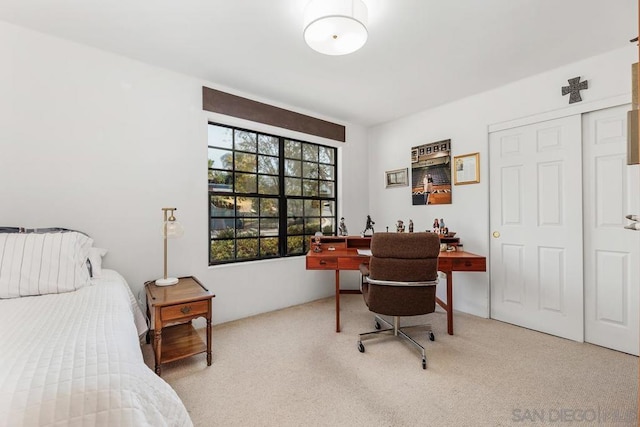 carpeted bedroom featuring a closet