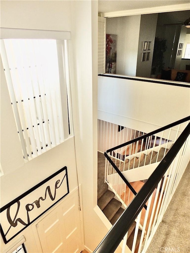 staircase with carpet flooring