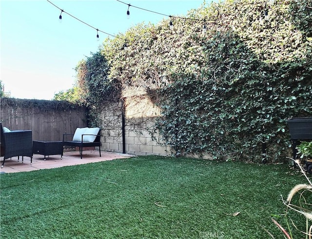 view of yard featuring a patio area