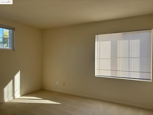 spare room featuring light carpet