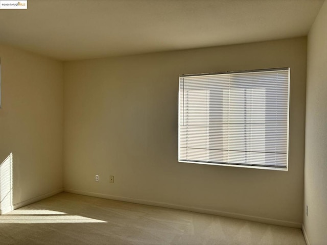 unfurnished room featuring light colored carpet and plenty of natural light