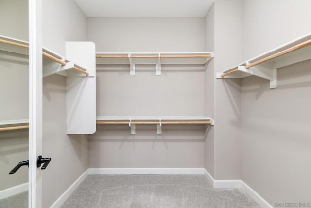 walk in closet featuring light colored carpet