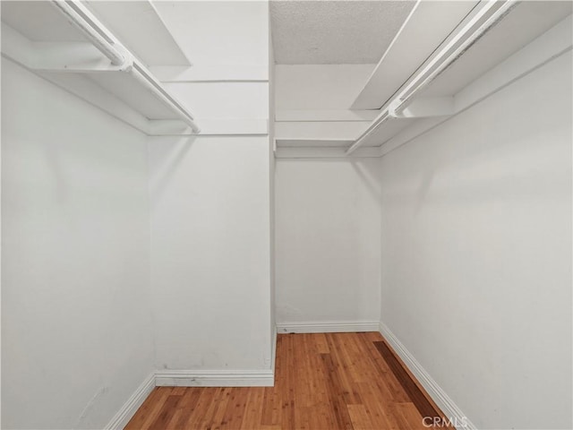 spacious closet with light hardwood / wood-style flooring