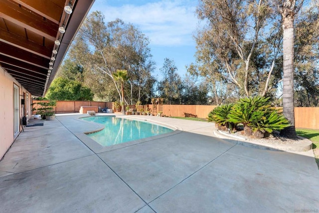 view of pool featuring a patio