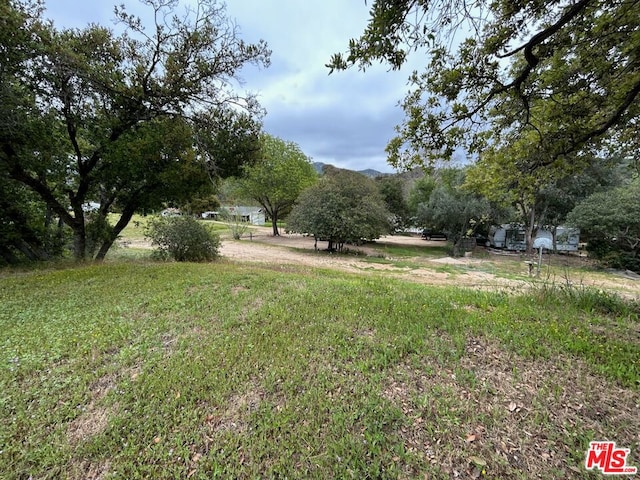 view of yard featuring a rural view