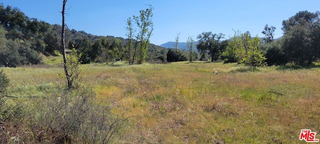 view of landscape with a mountain view and a rural view