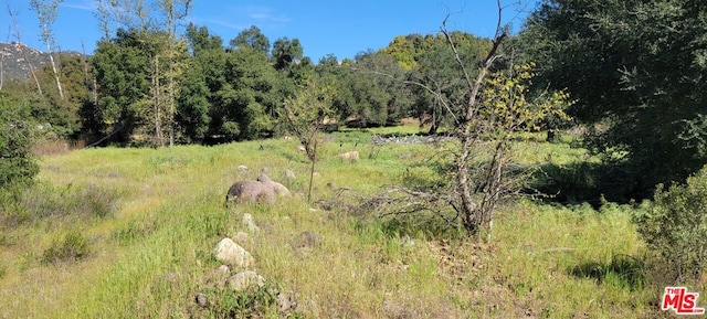 view of nature