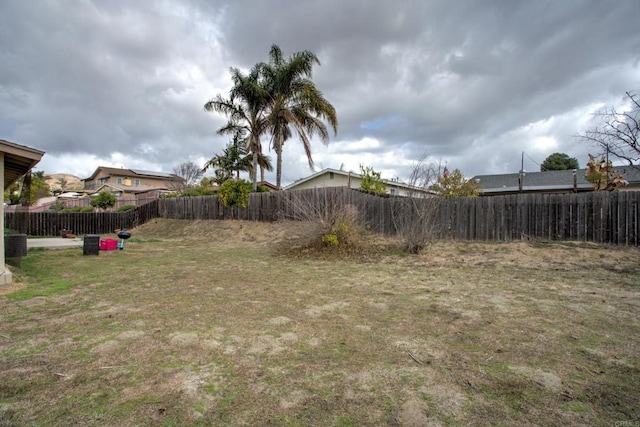 view of yard