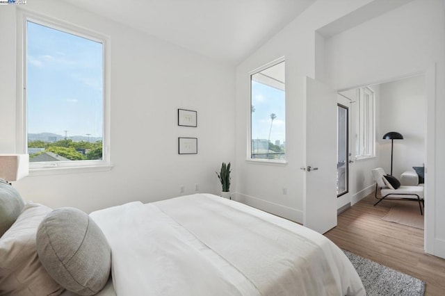 bedroom with wood-type flooring