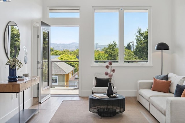 interior space featuring plenty of natural light, a mountain view, and light hardwood / wood-style flooring