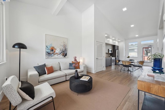 living room featuring high vaulted ceiling and light hardwood / wood-style floors