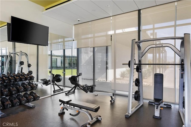 exercise room featuring floor to ceiling windows