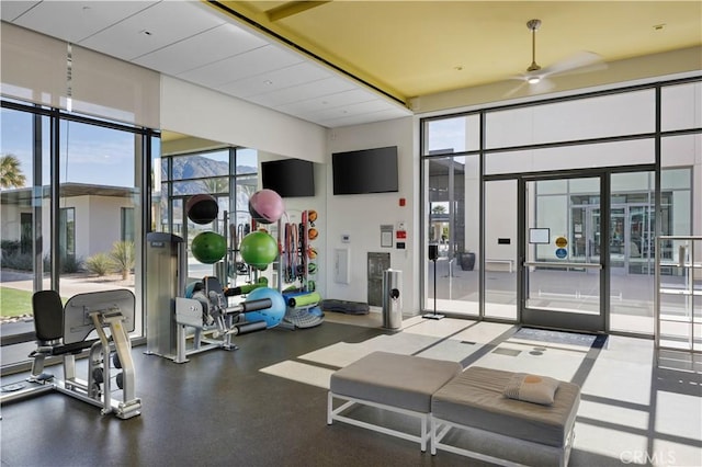 exercise room featuring ceiling fan