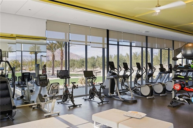 exercise room featuring a mountain view and expansive windows