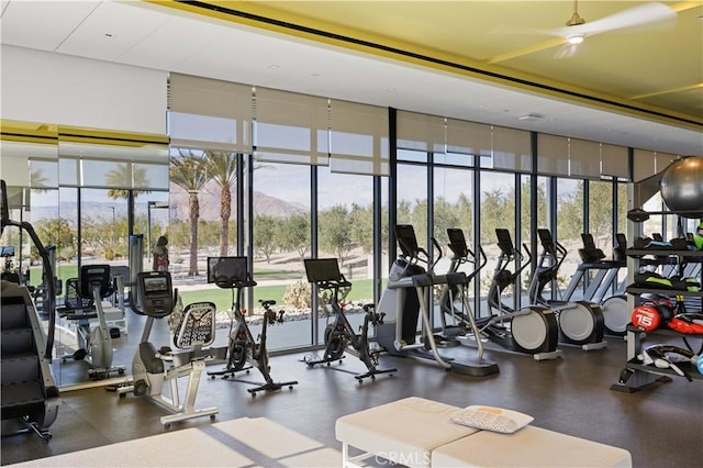 3712 Ambassador Dr, Palm Springs, CA 92262 - exercise room with expansive windows and ceiling fan