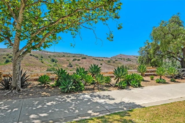 view of yard with a mountain view