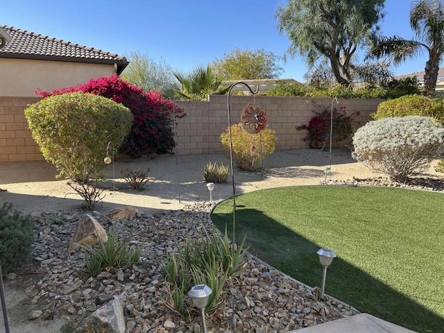 view of yard with a patio