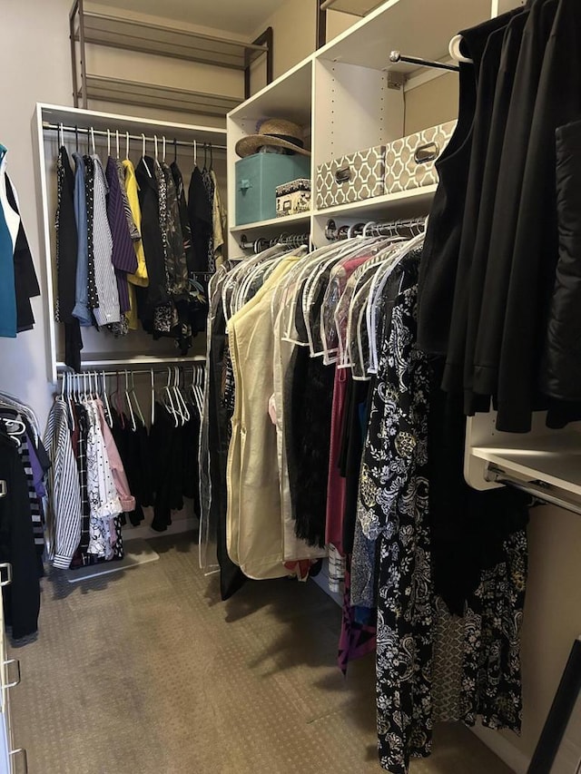 spacious closet with carpet