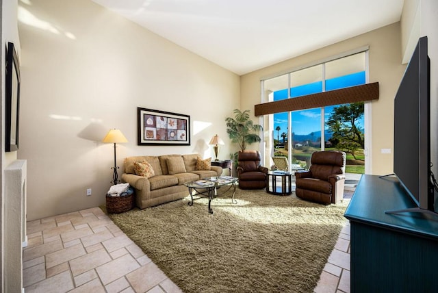 living room with a high ceiling