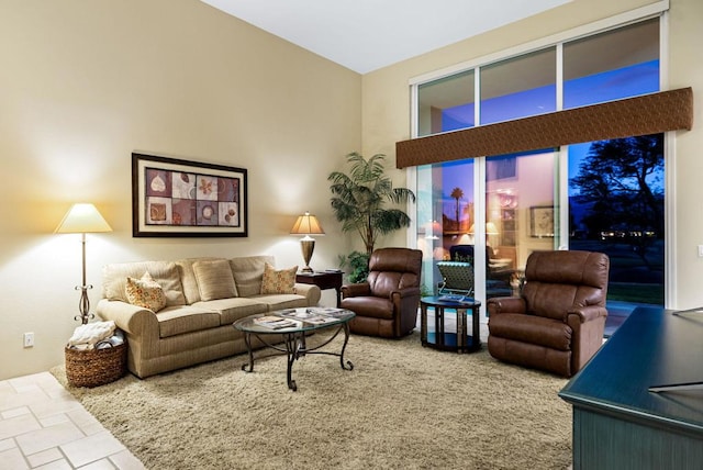 living room with a high ceiling