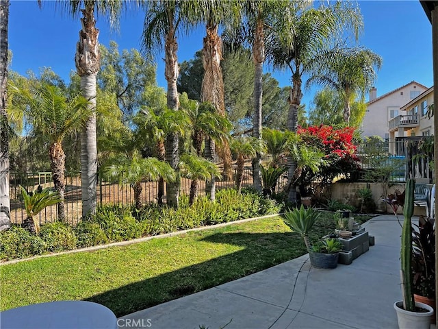 view of yard with a patio area