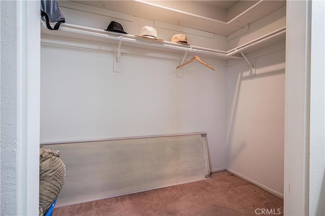 spacious closet with carpet