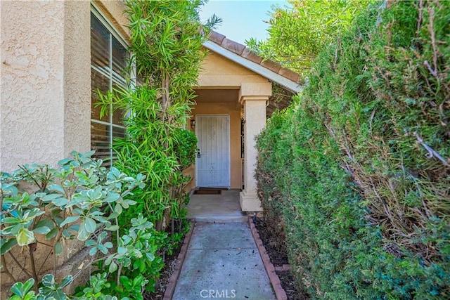 view of exterior entry featuring stucco siding