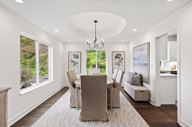 dining room featuring dark hardwood / wood-style flooring, plenty of natural light, and a raised ceiling