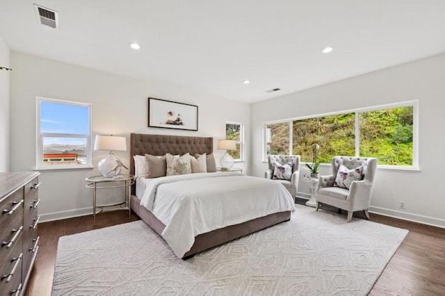 bedroom featuring multiple windows and wood-type flooring