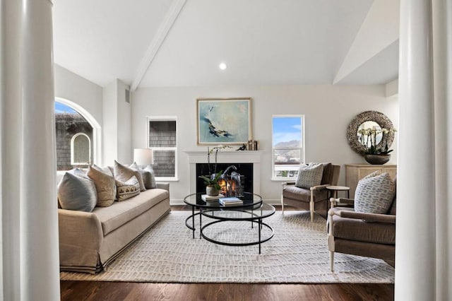 living room with high vaulted ceiling and dark hardwood / wood-style flooring