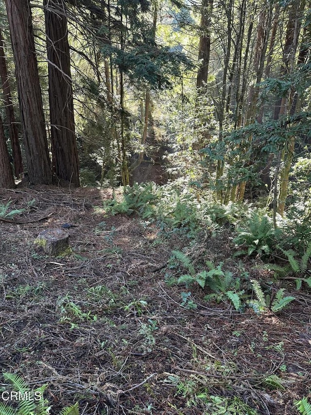 17500 Redwood Springs Dr, Fort Bragg, CA 95437 - photo 1