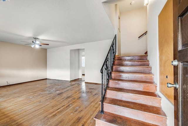 staircase featuring hardwood / wood-style floors and ceiling fan