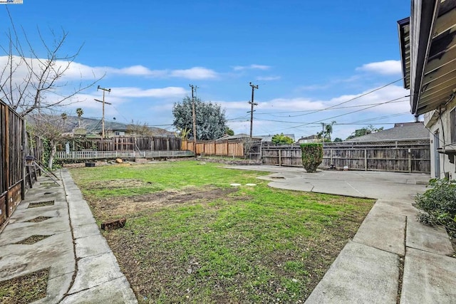 view of yard featuring a patio area