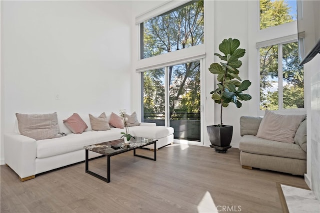 living room featuring a towering ceiling and light hardwood / wood-style flooring