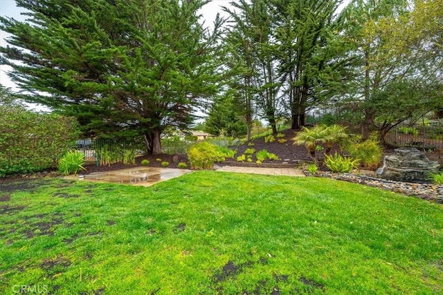 view of yard featuring a patio area