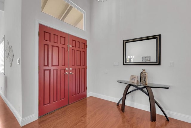 foyer with a healthy amount of sunlight and hardwood / wood-style floors