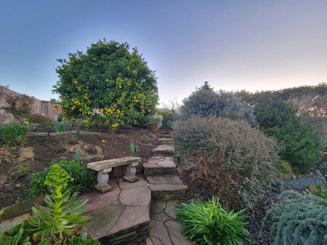 view of yard at dusk