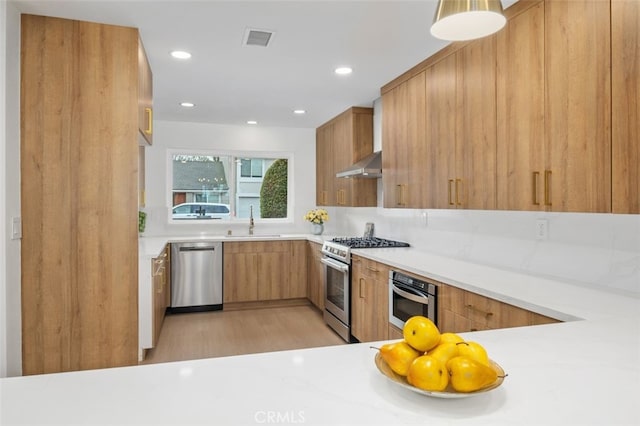 kitchen with sink, range hood, light hardwood / wood-style floors, and appliances with stainless steel finishes