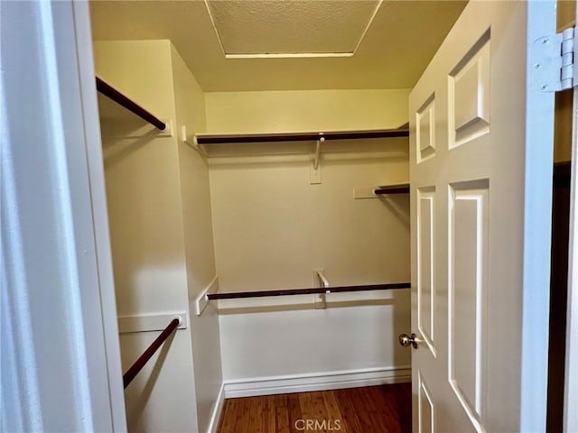 spacious closet featuring dark hardwood / wood-style floors