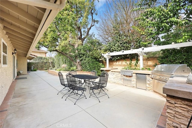 view of patio / terrace featuring an outdoor kitchen and area for grilling