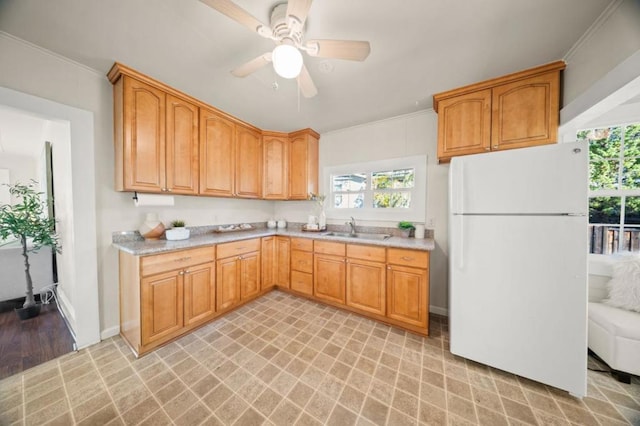 kitchen featuring sink, ornamental molding, ceiling fan, and white fridge