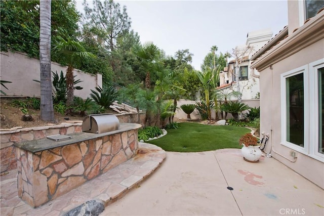 view of patio / terrace with an outdoor kitchen