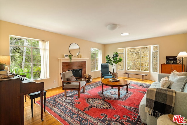 living room with a fireplace and hardwood / wood-style floors