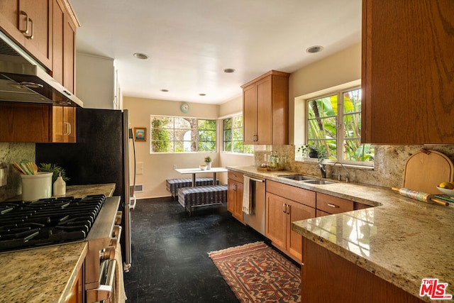 kitchen featuring appliances with stainless steel finishes, tasteful backsplash, sink, light stone counters, and kitchen peninsula