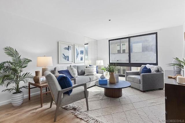 living room featuring light hardwood / wood-style floors