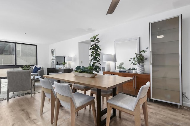 dining space featuring ceiling fan and hardwood / wood-style floors