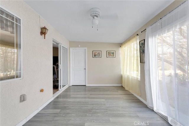 hall with hardwood / wood-style flooring