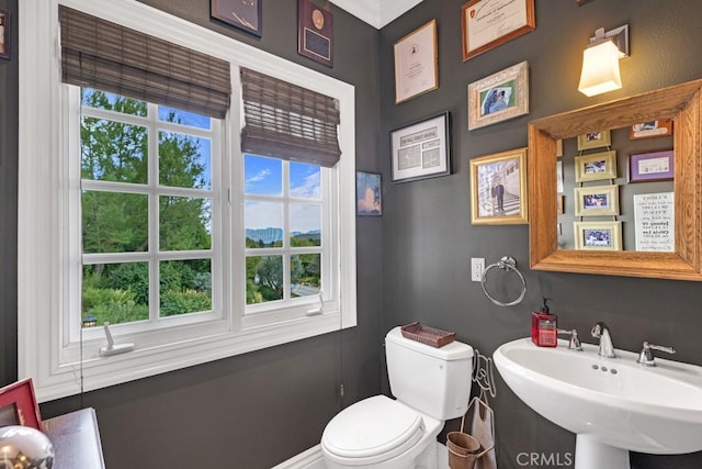 bathroom featuring sink and toilet