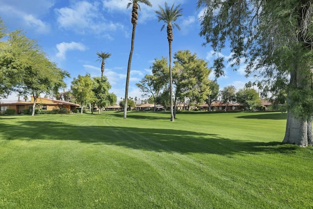 view of property's community with a lawn